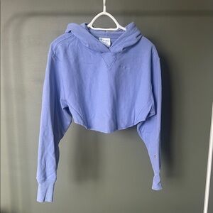 Champion Light Blue Cropped Sweatshirt